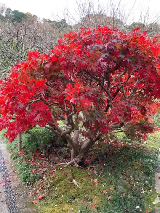 光則寺(神奈川県)