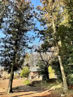 天満宮(栃木県)