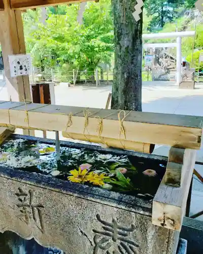 鳩森八幡神社の手水舎