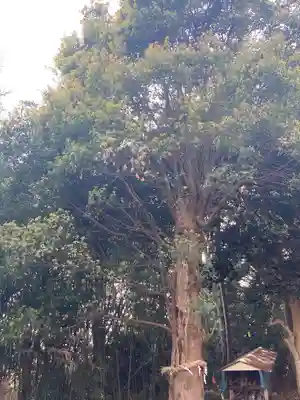 粟津神社(神奈川県)