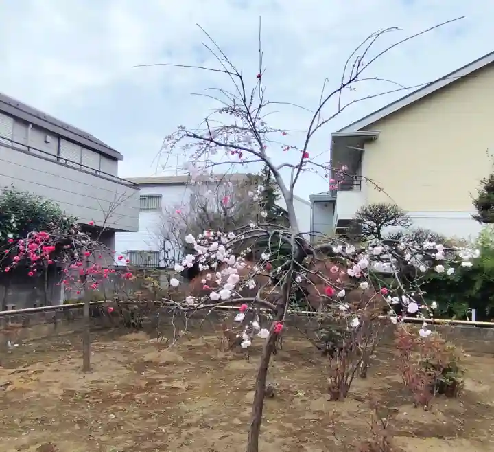禅定院の{uncategorized: "未分類", other: "その他", undefined: "問題あり", building: "その他建物", grave: "お墓", sacred_gate: "鳥居", guardian: "狛犬", statue: "像", buddha: "仏像", history: "歴史", nature: "自然", garden: "庭園", animal: "動物", pagoda: "塔", temizu: "手水舎", mountain_gate: "山門・神門", sanctuary: "本殿・本堂", subordinate: "末社・摂社", art: "芸術", scenery: "景色", jizo: "地蔵", ema: "絵馬", goshuin: "御朱印", omikuji: "おみくじ", items: "授与品その他", amulet: "お守り", goshuincho: "御朱印帳", eats: "食事", festival: "お祭り", votive_dance: "神楽", shichigosan: "七五三参", wedding: "結婚式", experience: "体験その他", initially: "初詣", around: "周辺", anti_infection: "感染症対策"}