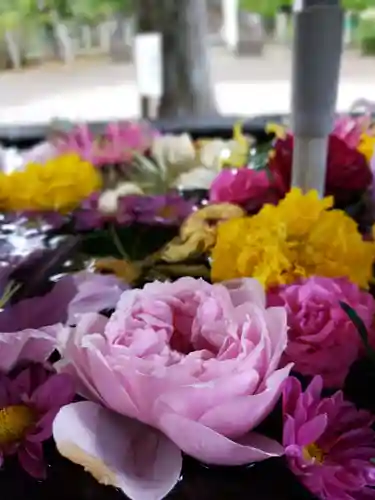 鳩森八幡神社の手水舎