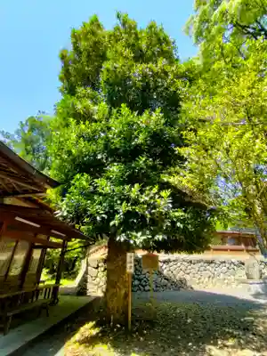 丹生川上神社（下社）(奈良県)