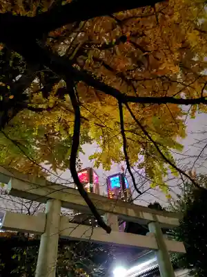 熊野神社(東京都)