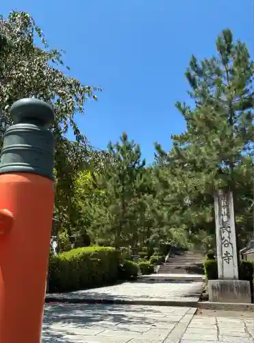 長谷寺(奈良県)