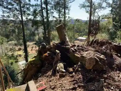 大山祇神社の自然