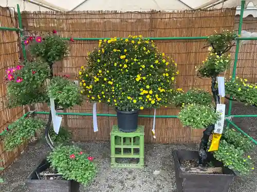 高麗神社(埼玉県)