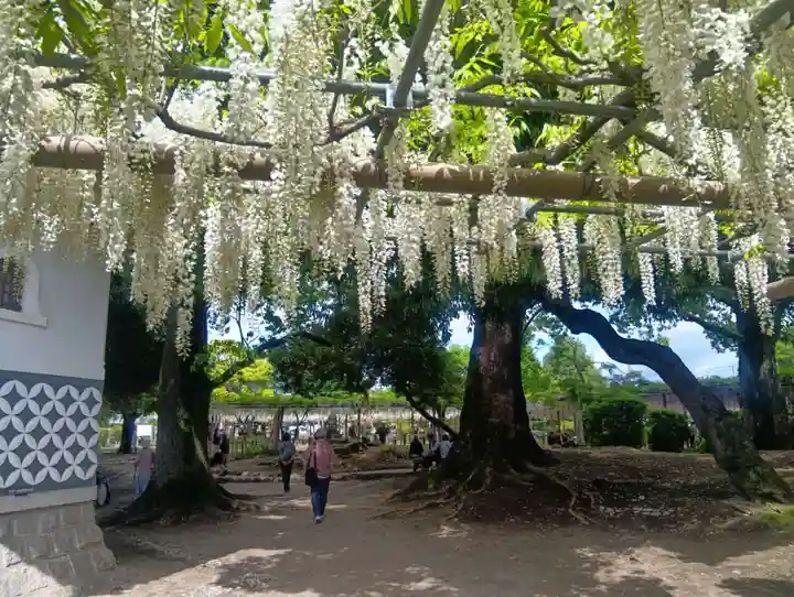 曼陀羅寺(愛知県)