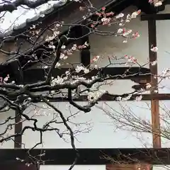 祥雲寺(東京都)