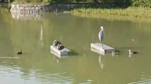 長岡天満宮の庭園