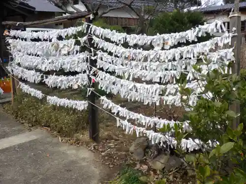 神﨑神社のおみくじ