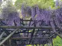 亀戸天神社の{uncategorized: "未分類", other: "その他", undefined: "問題あり", building: "その他建物", grave: "お墓", sacred_gate: "鳥居", guardian: "狛犬", statue: "像", buddha: "仏像", history: "歴史", nature: "自然", garden: "庭園", animal: "動物", pagoda: "塔", temizu: "手水舎", mountain_gate: "山門・神門", sanctuary: "本殿・本堂", subordinate: "末社・摂社", art: "芸術", scenery: "景色", jizo: "地蔵", ema: "絵馬", goshuin: "御朱印", omikuji: "おみくじ", items: "授与品その他", amulet: "お守り", goshuincho: "御朱印帳", eats: "食事", festival: "お祭り", votive_dance: "神楽", shichigosan: "七五三参", wedding: "結婚式", experience: "体験その他", initially: "初詣", around: "周辺", anti_infection: "感染症対策"}