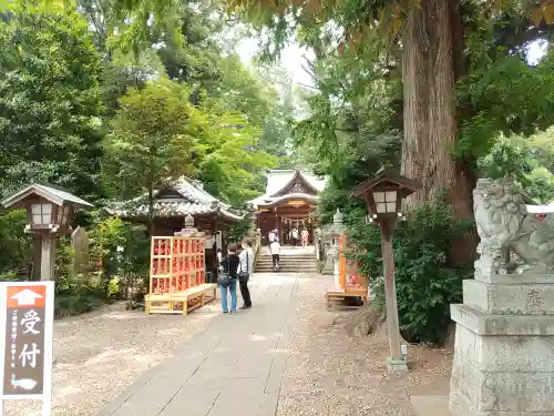 岩槻久伊豆神社(埼玉県)