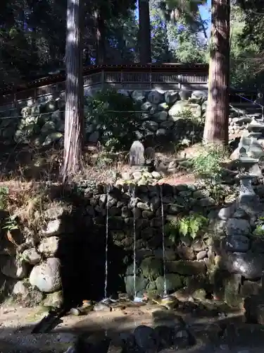 鳩ヶ嶺八幡宮の自然