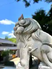 古町豊受大神宮の狛犬