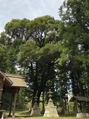 近津神社(栃木県)