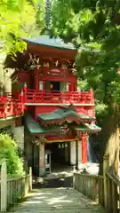 大正寺(中野不動尊)の本殿