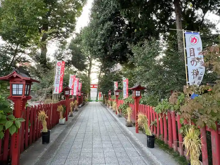 川越八幡宮(埼玉県)