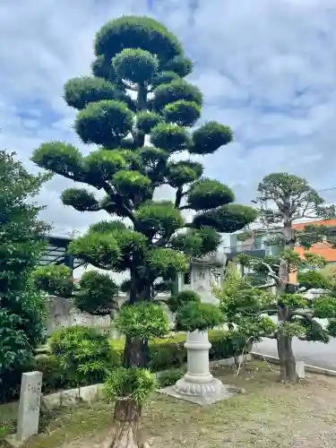 健田須賀神社(茨城県)