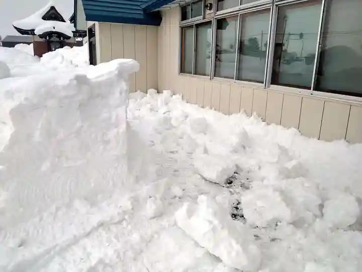 雨竜 専福寺の自然