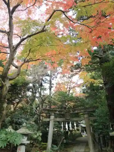 五所駒瀧神社の庭園