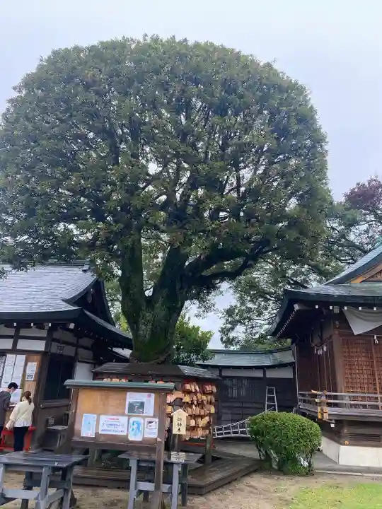足利織姫神社のその他建物