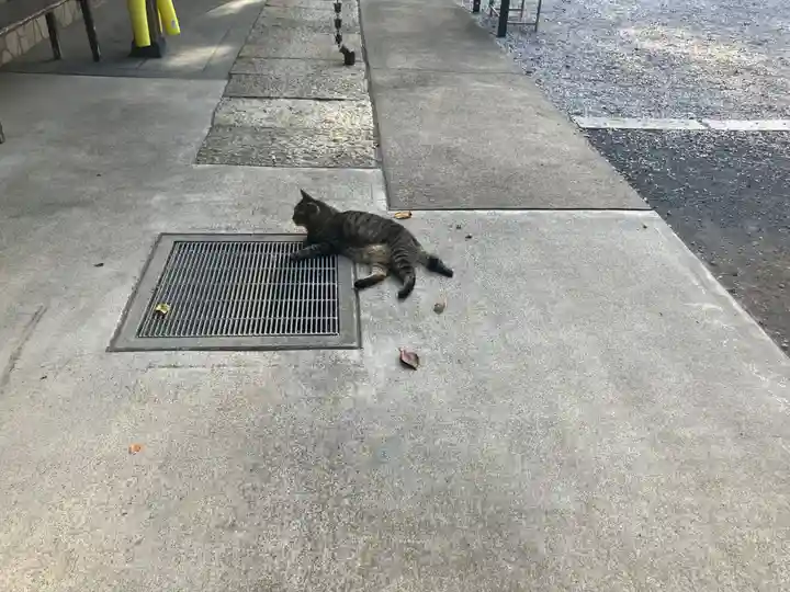 所澤神明社(埼玉県)