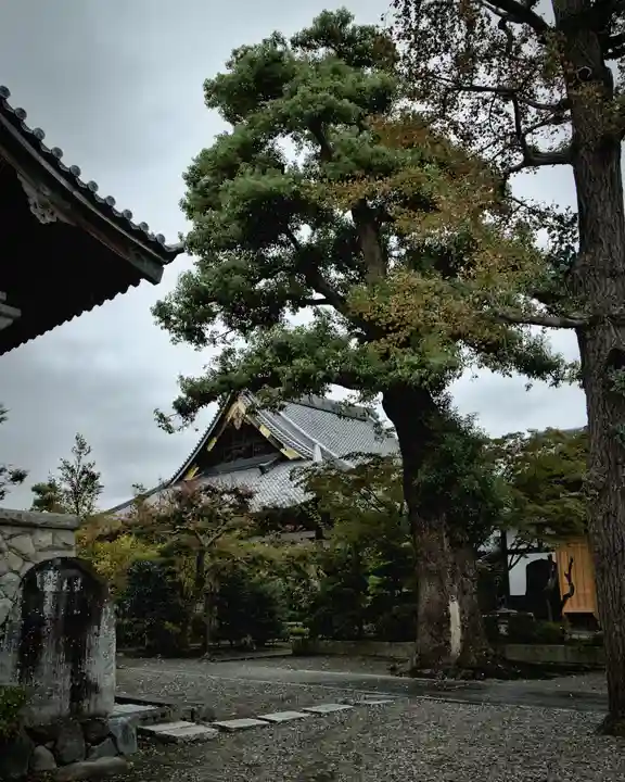 善徳寺(栃木県)