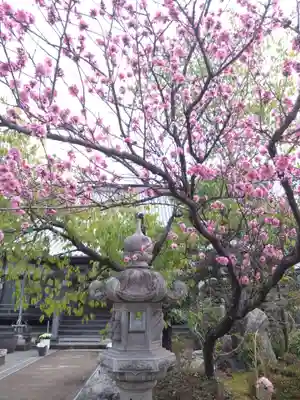 蓮華寺(静岡県)