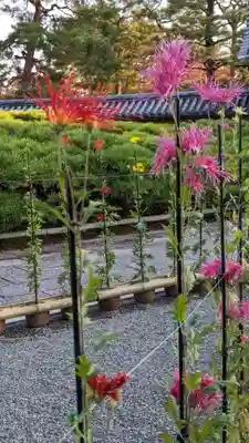 大覚寺(京都府)