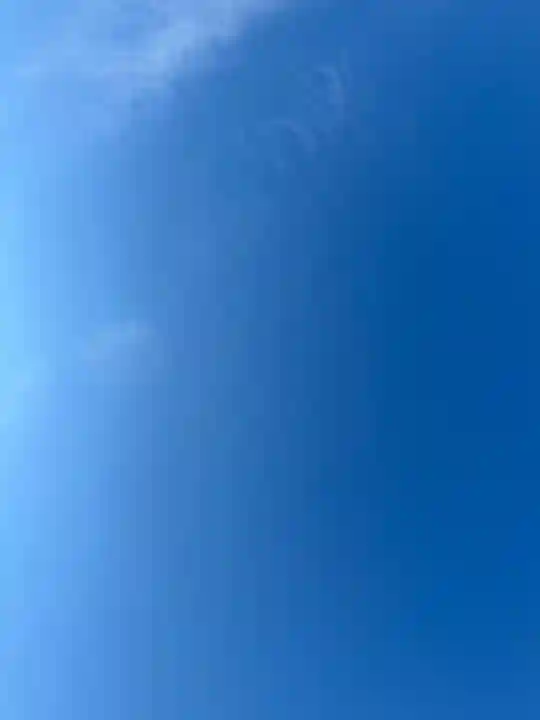 大杉神社(茨城県)