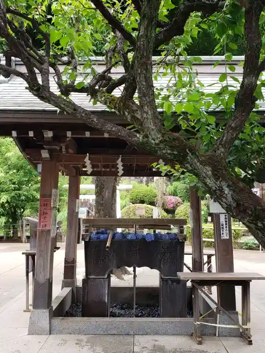 鳩森八幡神社の手水舎