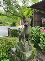 政長稲荷大明神(京都府)