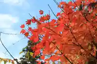 愛宕神社の自然