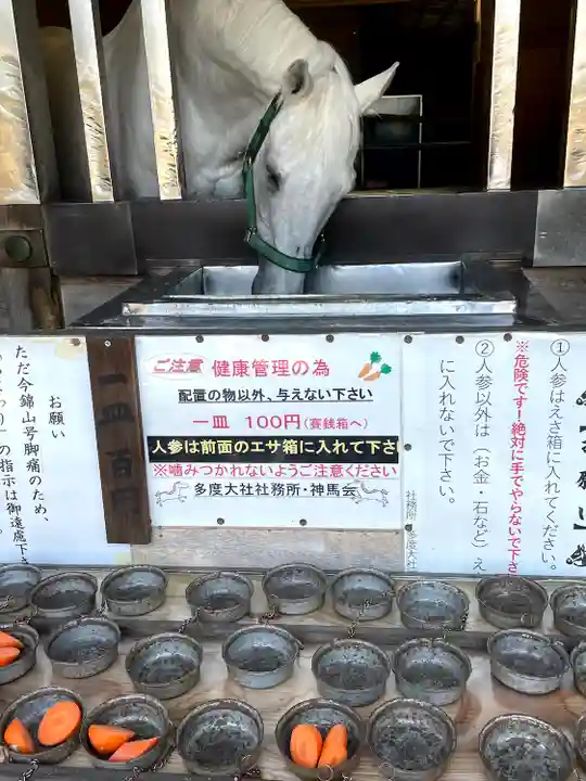 多度大社の動物