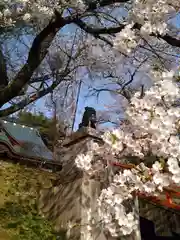 福泉寺の狛犬