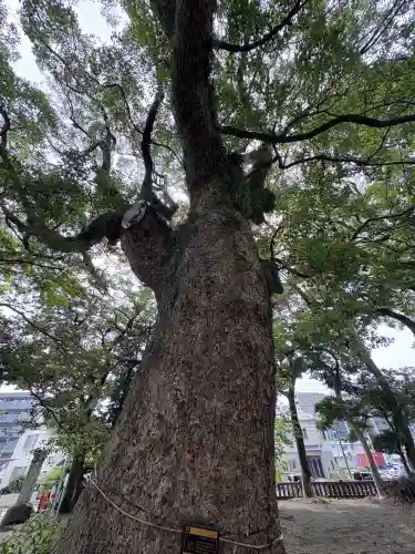 八幡神社(静岡県)