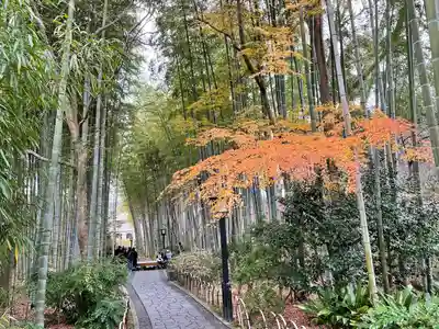 修禅寺(静岡県)