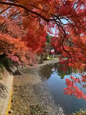 出雲大神宮(京都府)