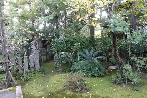 慈眼院の庭園