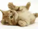 じゅんさんのプロフィール画像