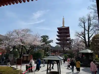 浅草寺の塔
