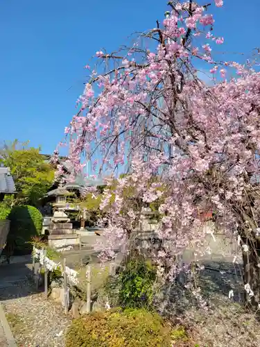 千代神社(滋賀県)