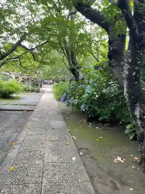 極楽寺（霊鷲山感應院極楽律寺）のその他建物