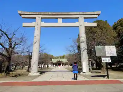 大阪護國神社の鳥居