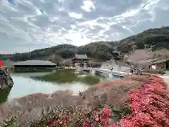 勝尾寺の景色