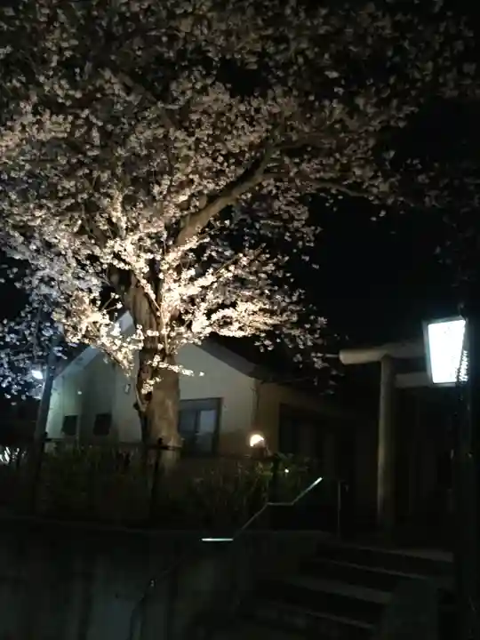 明治神宮の自然