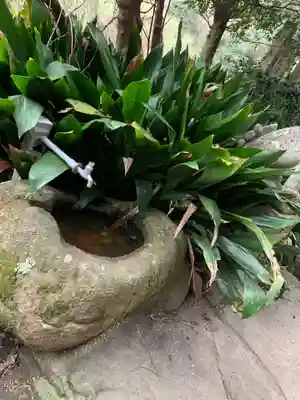 笠戸神社の手水舎