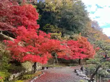 石道寺の{uncategorized: "未分類", other: "その他", undefined: "問題あり", building: "その他建物", grave: "お墓", sacred_gate: "鳥居", guardian: "狛犬", statue: "像", buddha: "仏像", history: "歴史", nature: "自然", garden: "庭園", animal: "動物", pagoda: "塔", temizu: "手水舎", mountain_gate: "山門・神門", sanctuary: "本殿・本堂", subordinate: "末社・摂社", art: "芸術", scenery: "景色", jizo: "地蔵", ema: "絵馬", goshuin: "御朱印", omikuji: "おみくじ", items: "授与品その他", amulet: "お守り", goshuincho: "御朱印帳", eats: "食事", festival: "お祭り", votive_dance: "神楽", shichigosan: "七五三参", wedding: "結婚式", experience: "体験その他", initially: "初詣", around: "周辺", anti_infection: "感染症対策"}