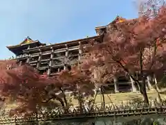 清水寺の本殿